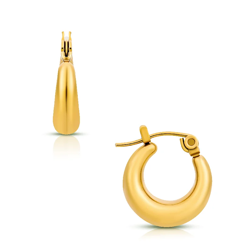 Swirl shape earrings-Anastasia Huggie Hoop Earring